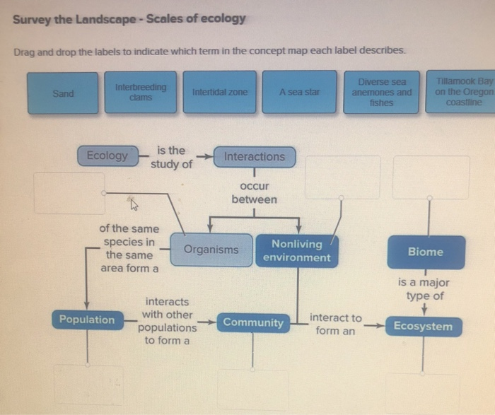 Solved Survey the Landscape-Scales of ecology Drag and drop | Chegg.com