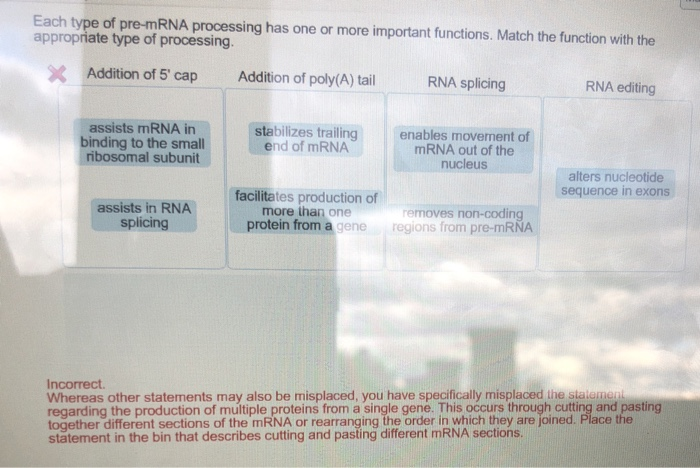 Solved Each type of pre-mRNA processing has one or more | Chegg.com