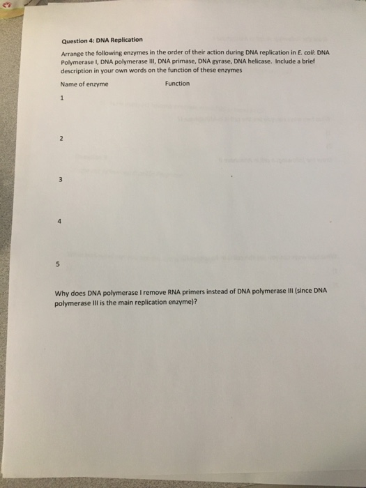 Solved Question 4: DNA Replication Arrange the following | Chegg.com