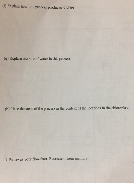 2 Use Your Flowchart To Answer The Following Chegg 2 Use Your Flowchart To Answer The Following Chegg
