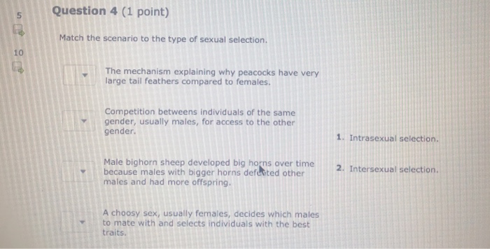 Solved Question 9 (1 point) Please select all of the | Chegg.com