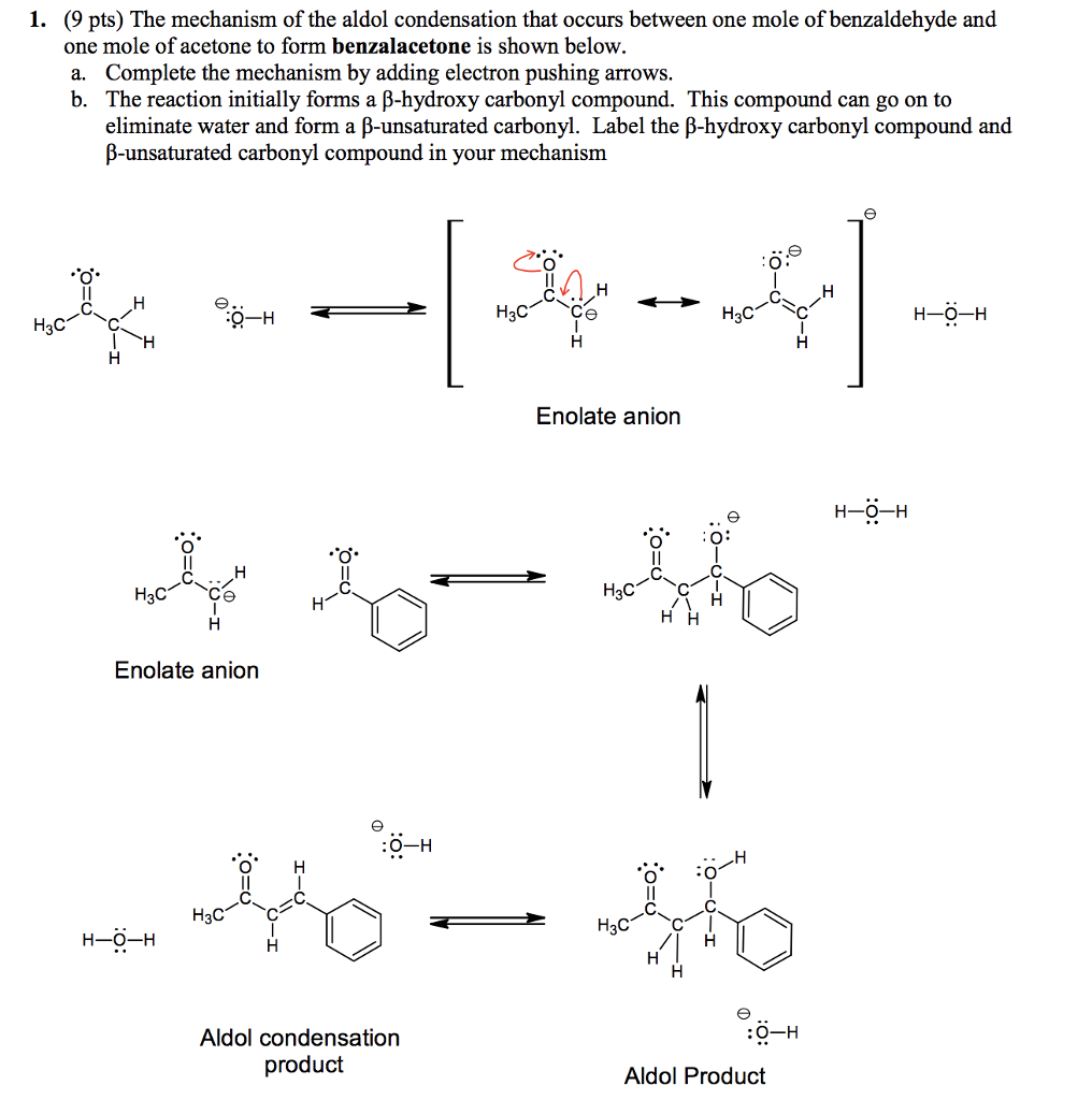 Solved 1. (9 Pts) The Mechanism Of The Aldol Condensation | Chegg.com