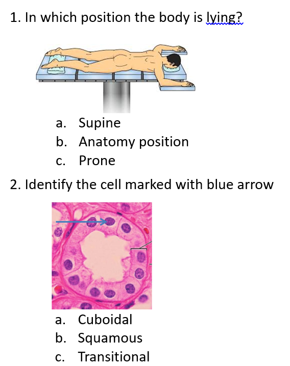 Supine Position: What It Is and When to Lie That Way