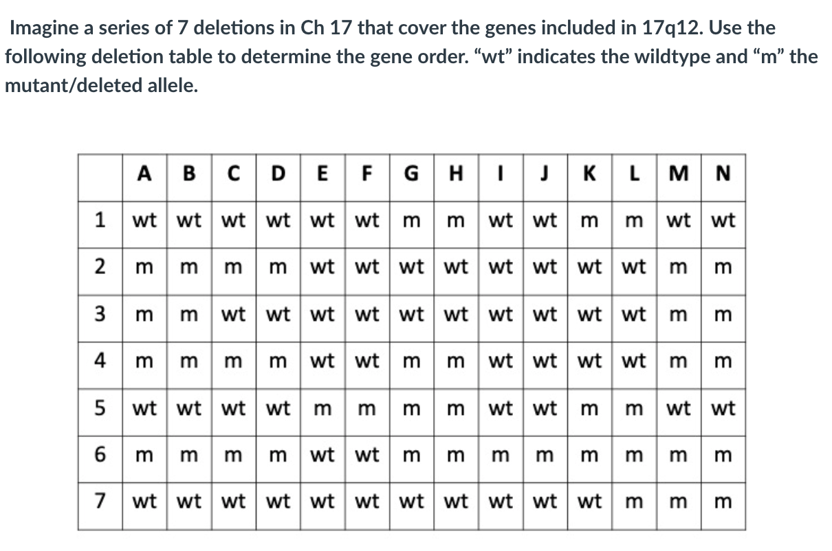 17q12 deletion syndrome in humans is a rare disorder