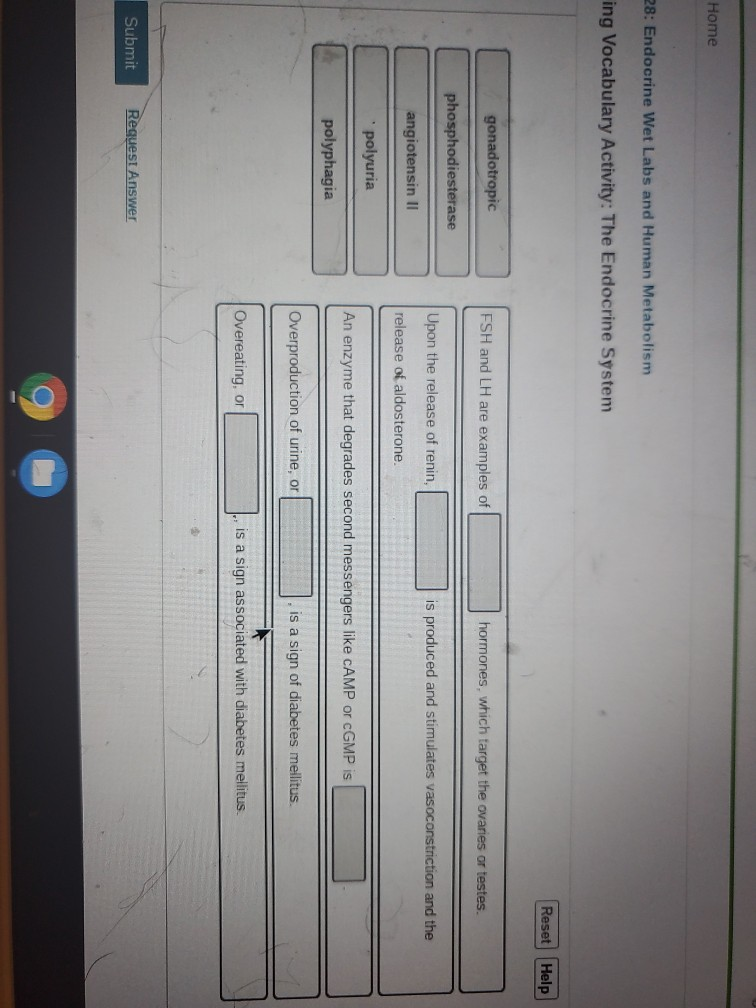 Home 28 Endocrine Wet Labs And Human Metabolism Ing Chegg 