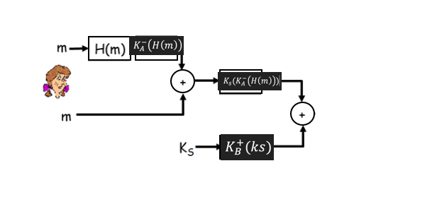 Solved Show the steps implemented by Bob to extract and | Chegg.com