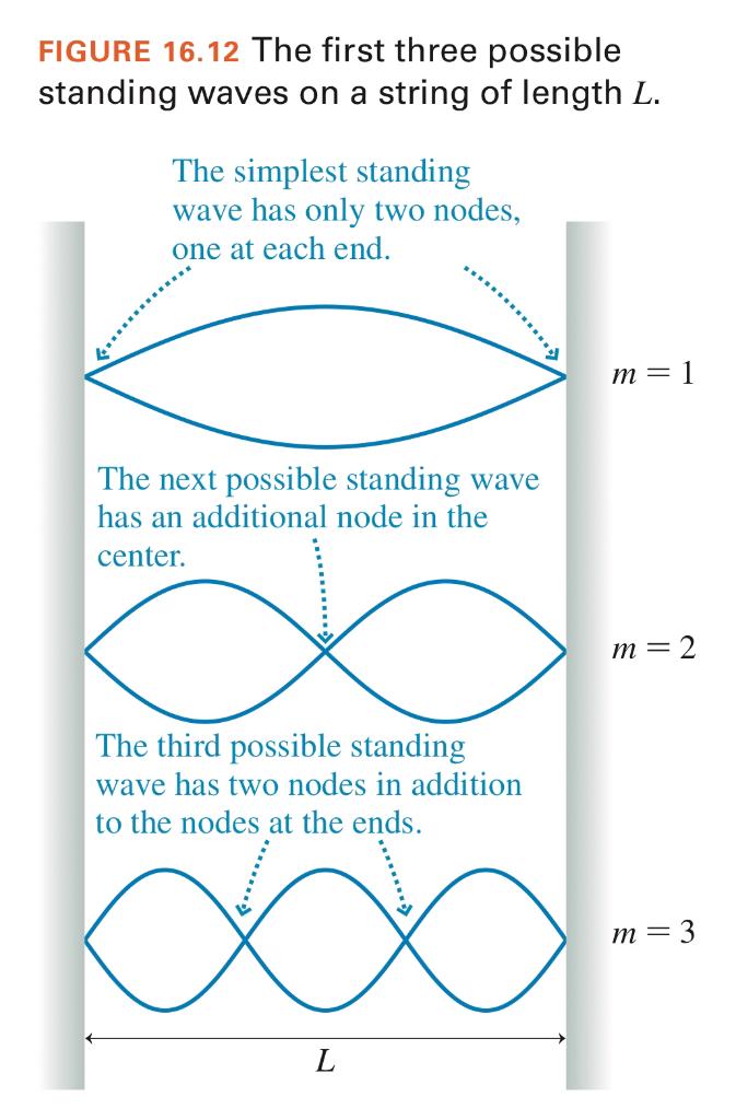 Solved >>>> You have only 2 tries for this question! 6. | Chegg.com