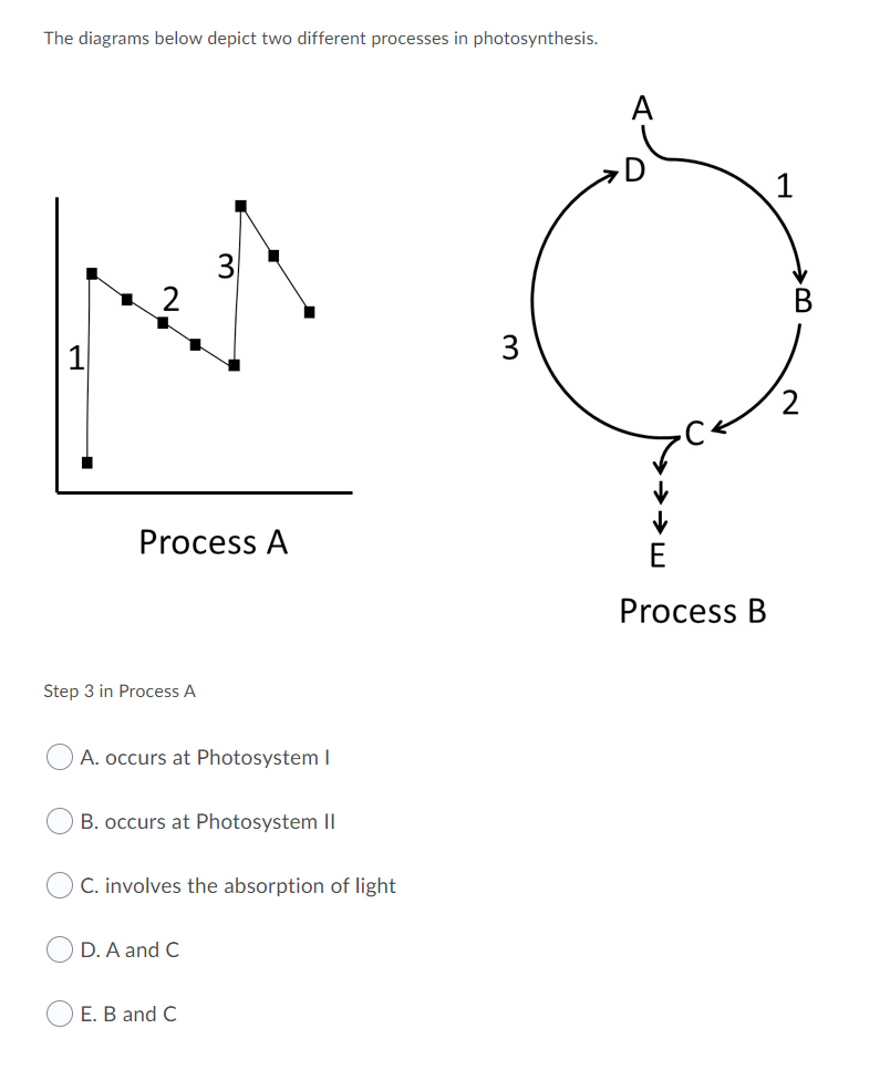 Solved The diagrams below depict two different processes in | Chegg.com