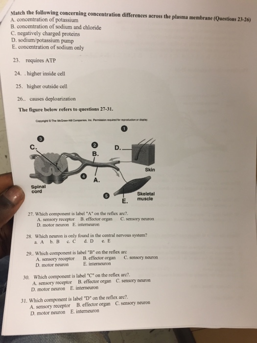 D-CSF-SC-23 Dumps Deutsch