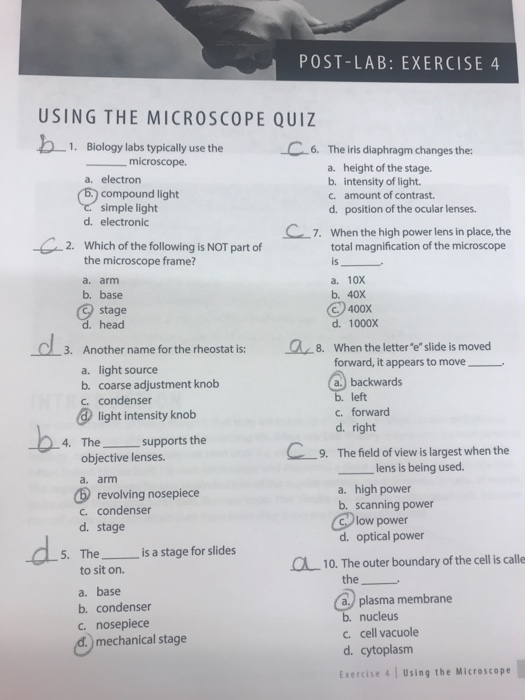 Solved POSTLAB EXERCISE 4 USING THE MICROSCOPE QUIZ C6....