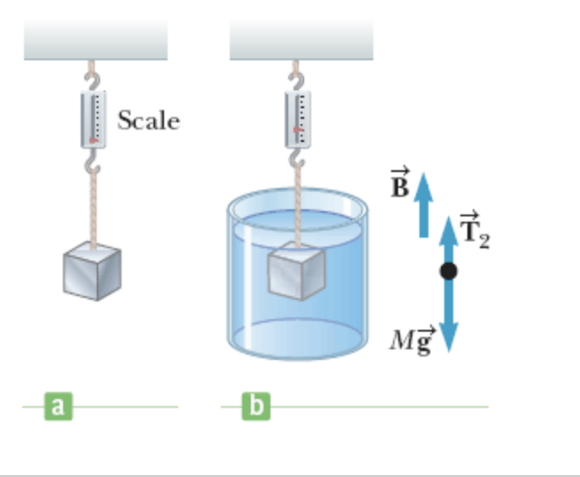 solved-the-gravitational-force-exerted-on-a-solid-object-is-chegg