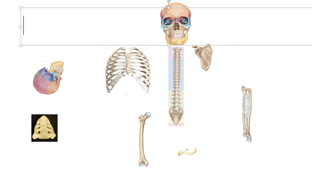 Solved How would you assembly and rearrange these pieces so | Chegg.com
