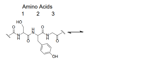 Amino Acids
\( \begin{array}{lll}1 & 2\end{array} \)