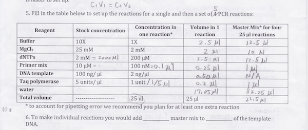 Solved 5 5. Fill in the table below to set up the reactions | Chegg.com