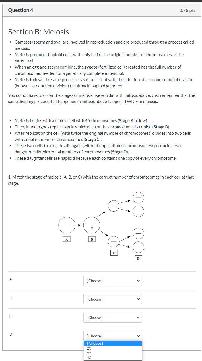 Solved Section C: DNA Replication • You are inside the | Chegg.com