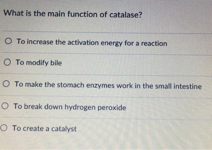 Solved What is the main function of catalase? O To increase | Chegg.com