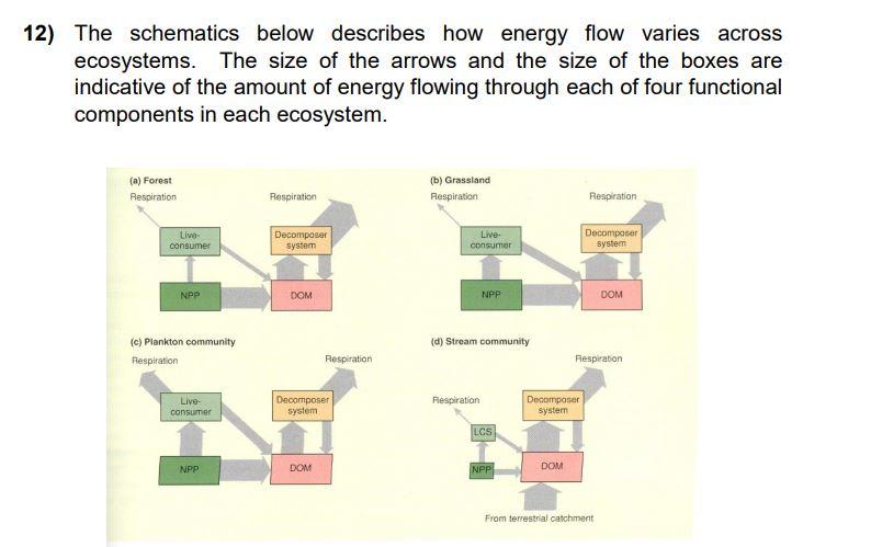 2) The schematics below describes how energy flow varies across ecosystems. The size of the arrows and the size of the boxes 