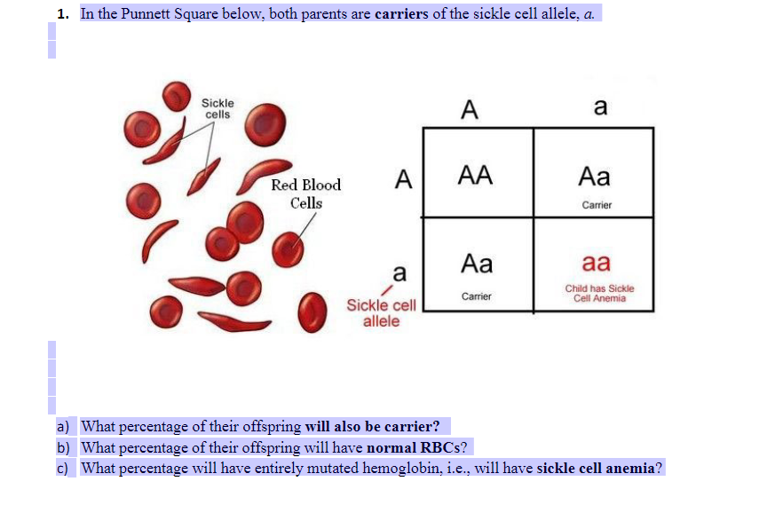 sickle cell anemia punnett square