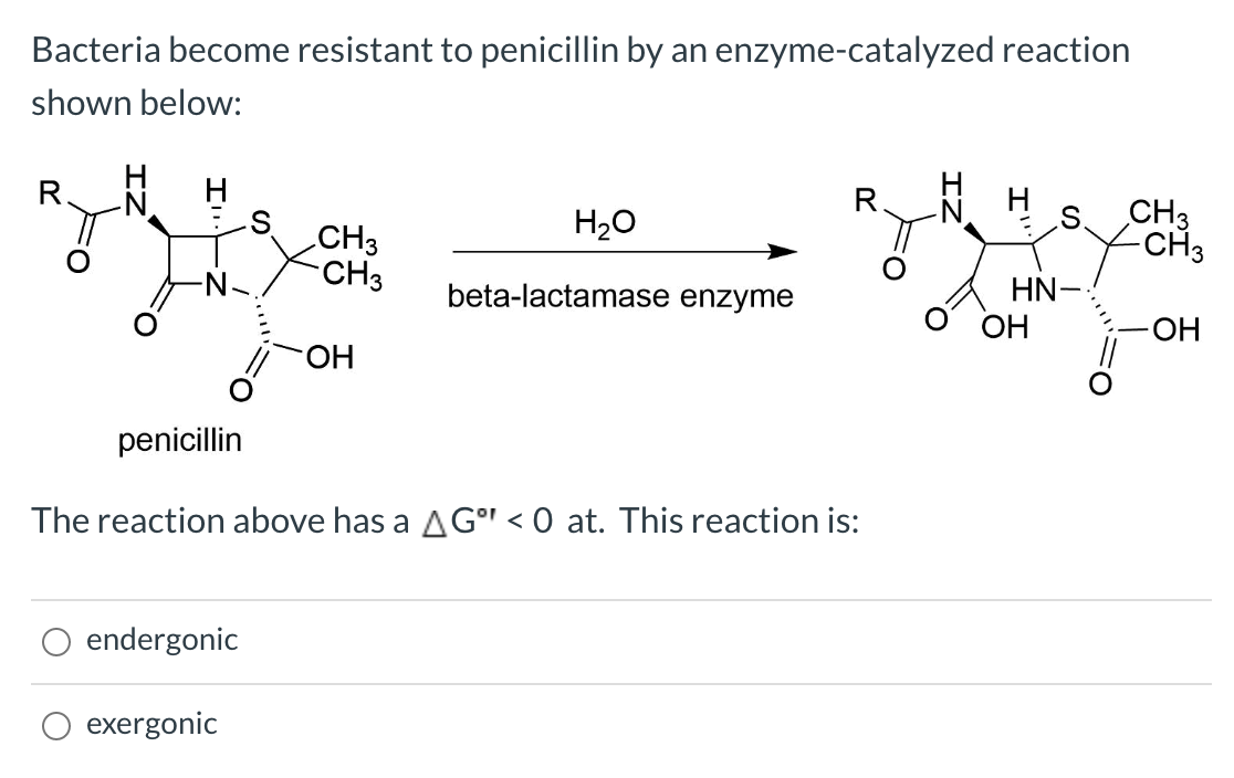 Solved Bacteria resistant to penicillin by an