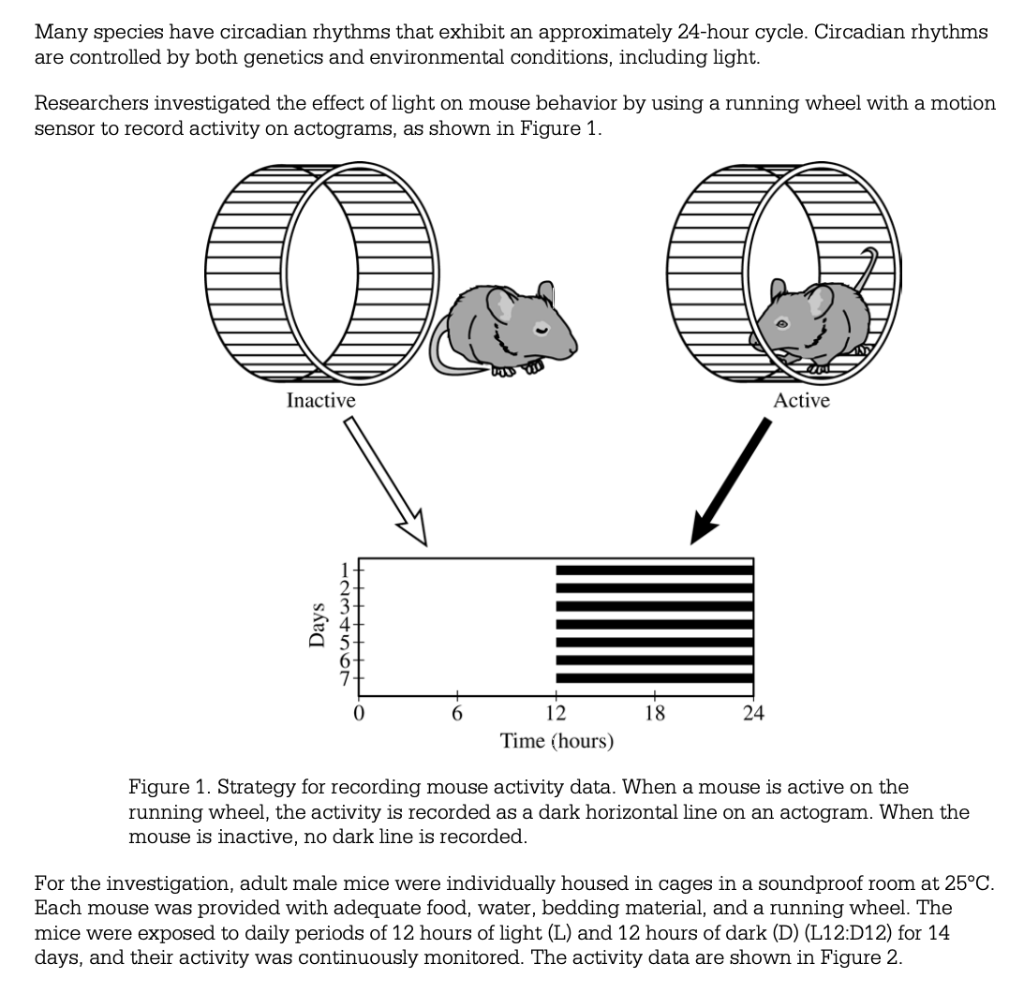 Biological Rhythm Measurements in Rodents