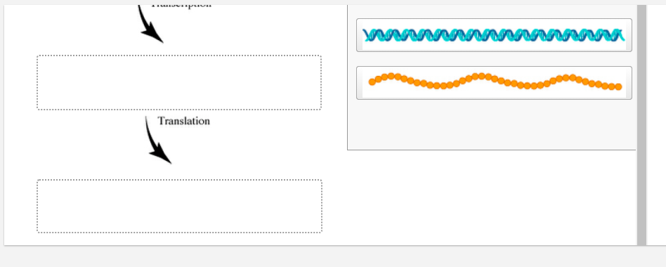 Solved Place each of the molecules in the correct order | Chegg.com