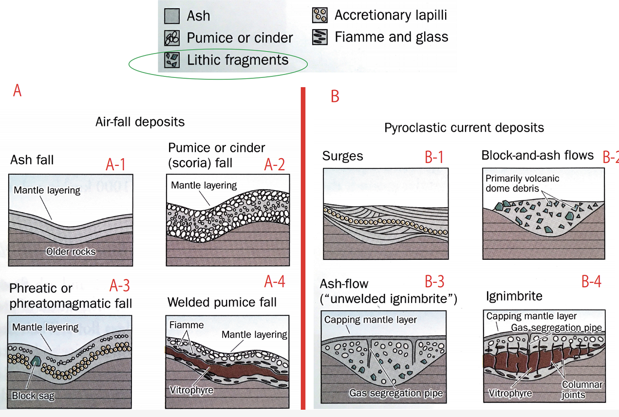 Solved The Figure Shows The Sedimentary Structure Of The | Chegg.com