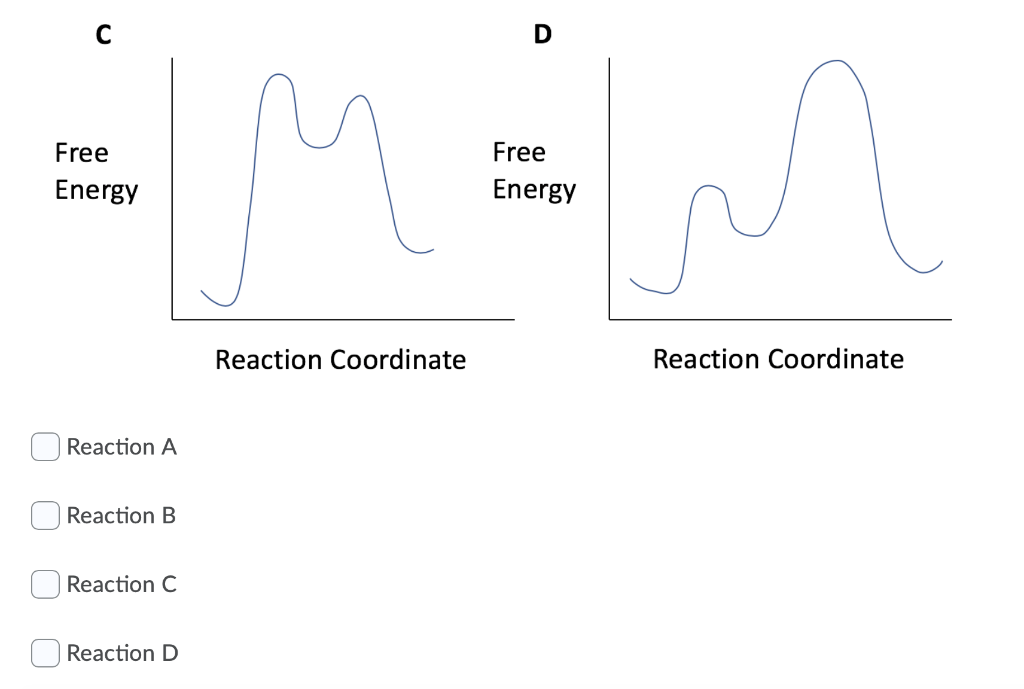 Solved The plot below shows concentrations as a function of | Chegg.com