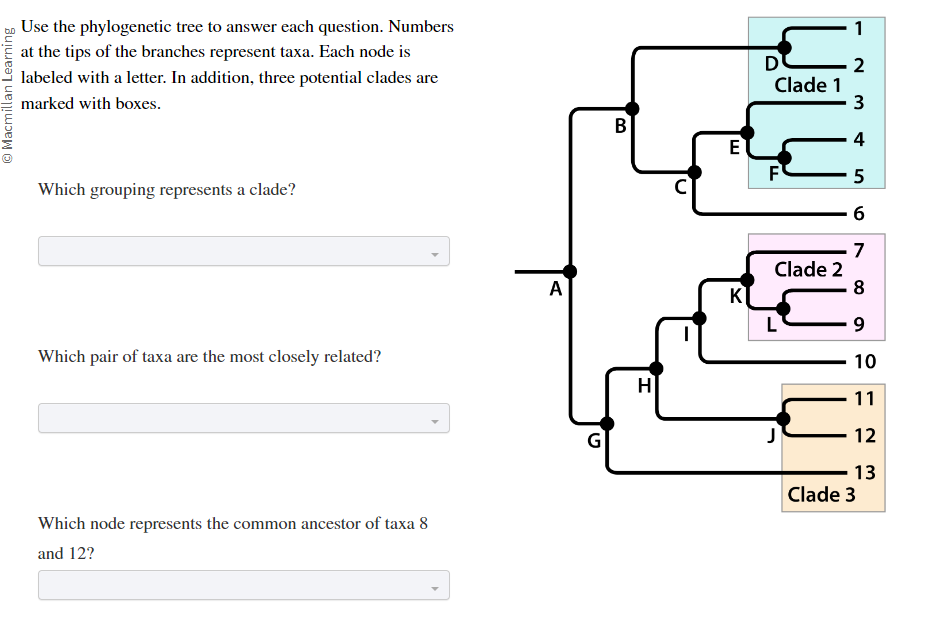 Solved Use The Phylogenetic Tree To Answer Each Question. | Chegg.com