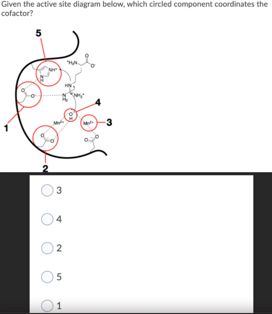 Solved Given the active site diagram below, which circled | Chegg.com