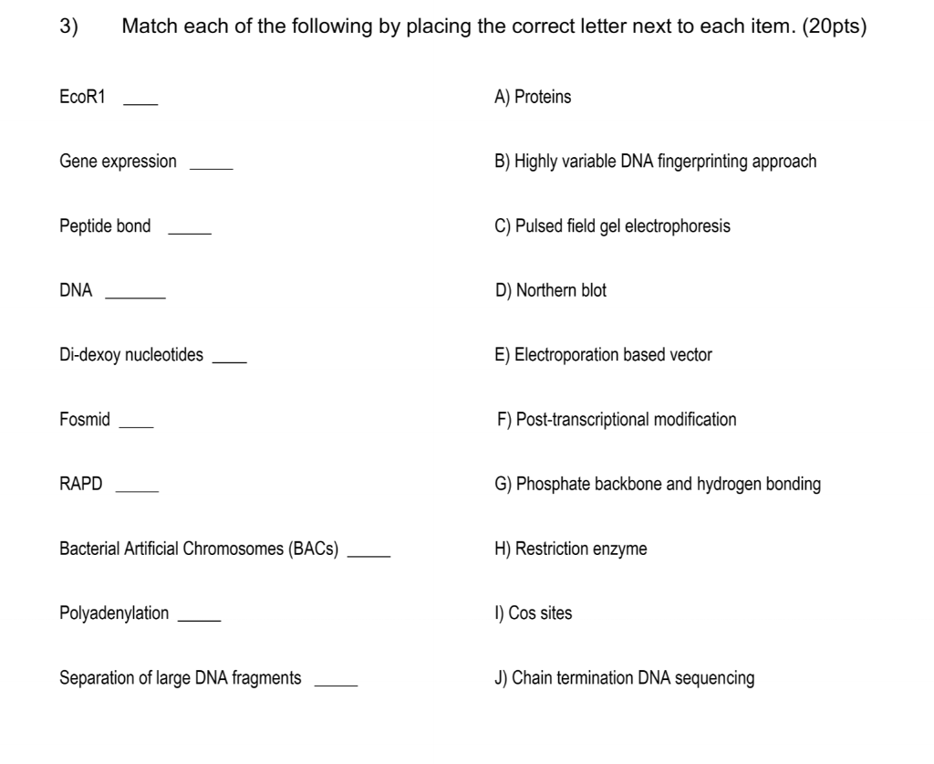 Solved 3) Match each of the following by placing the correct | Chegg.com