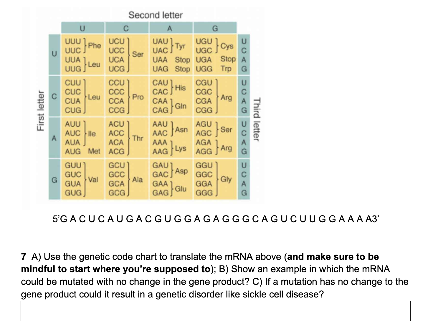 Solved 7 A) Use the genetic code chart to translate the mRNA | Chegg.com