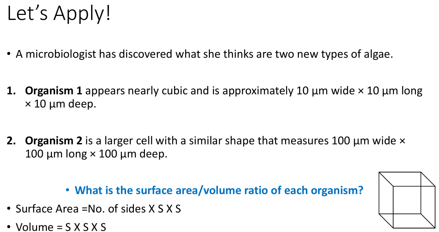 Mean ± SE spore (A) length and (B) width of MEXUPodaxis specimens from