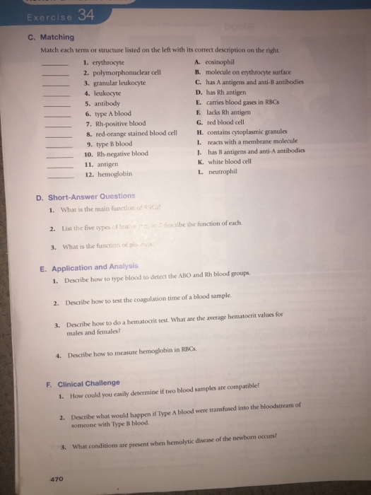 Solved Match each term listed on the left with its correct | Chegg.com
