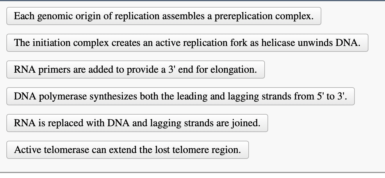Solved Place the steps of eukaryotic DNA replication in | Chegg.com