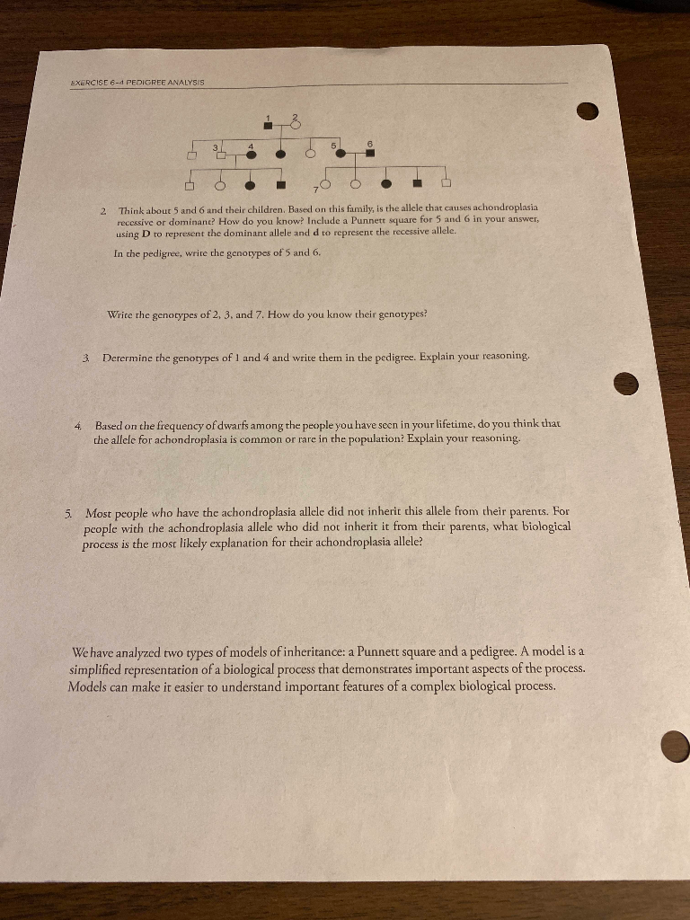 Solved EXERCISE 6 PEDIGREE ANALYSIS 2 Think about 5 and 6 | Chegg.com