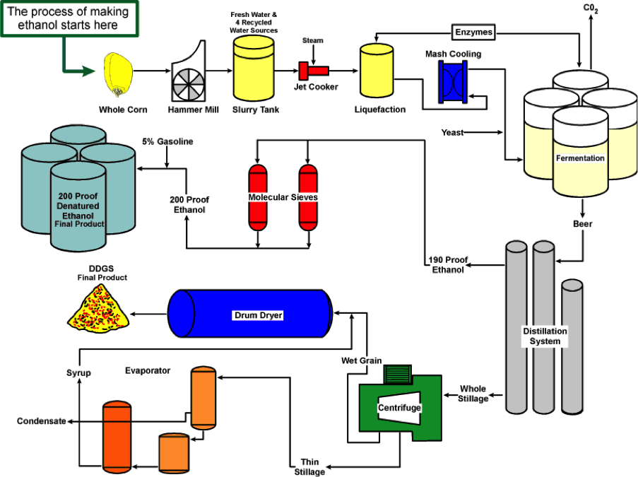 Please draw a box flow diagram of corn ethanol | Chegg.com