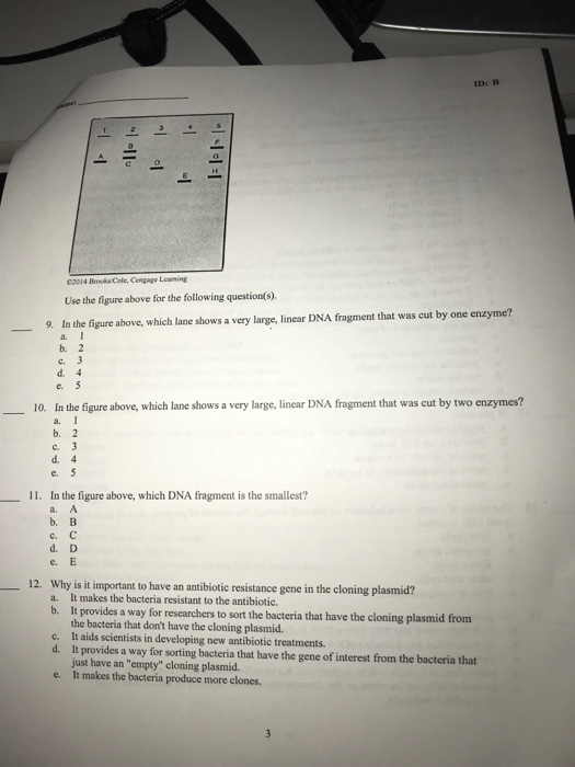 Solved Please answer all 39 multiple choice but you do not | Chegg.com