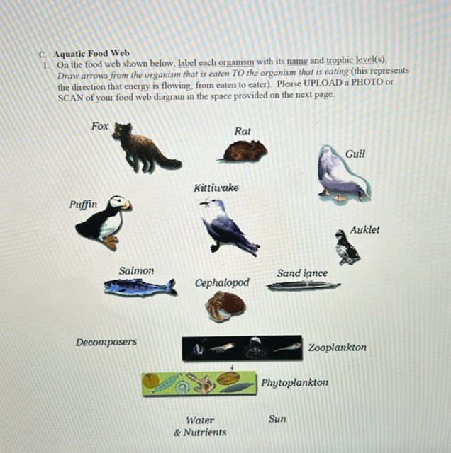 Aquatic Food Web 1 On the food web shown below Biology Diagrams