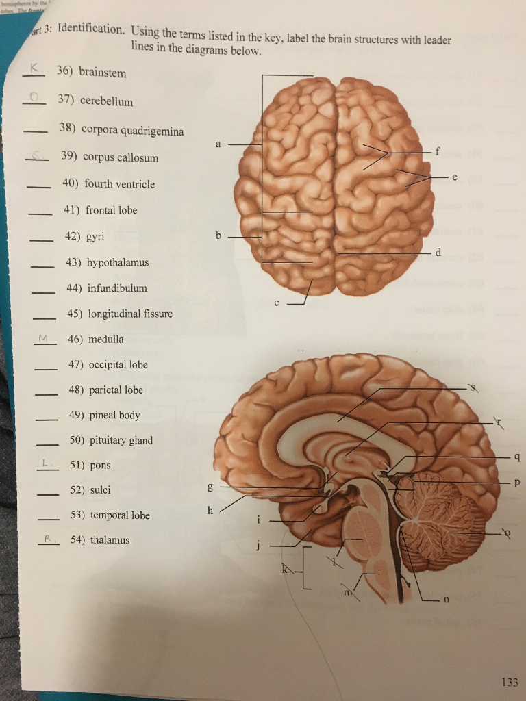 Solved by the rt 3 Identification. Using the terms listed