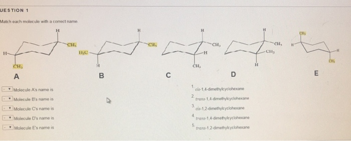 Solved UESTION 1 Match each molecule with a correct name. H | Chegg.com