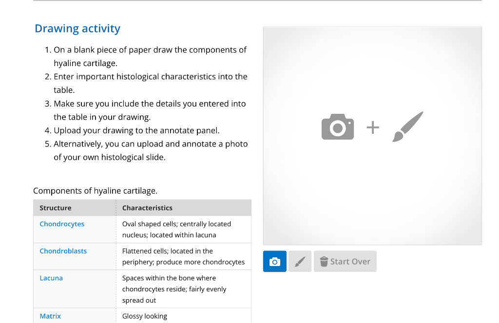 Solved Drawing activity 1. On a blank piece of paper draw | Chegg.com