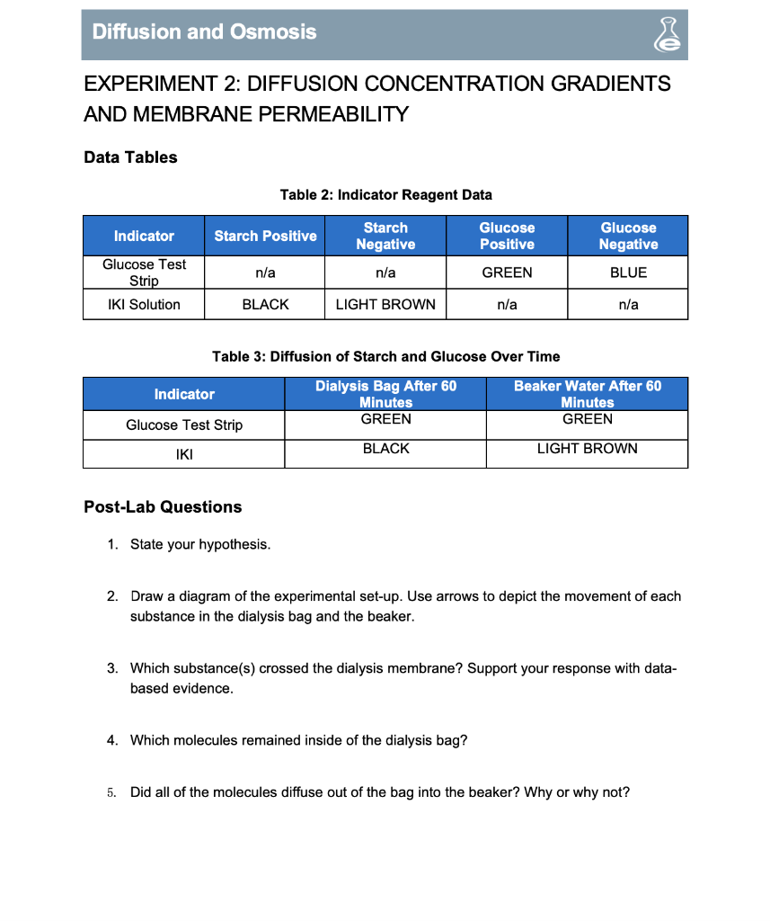 experiment 2 diffusion concentration gradients and membrane permeability