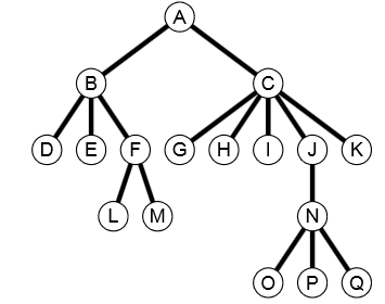 Solved Use the following tree to answer the questions | Chegg.com