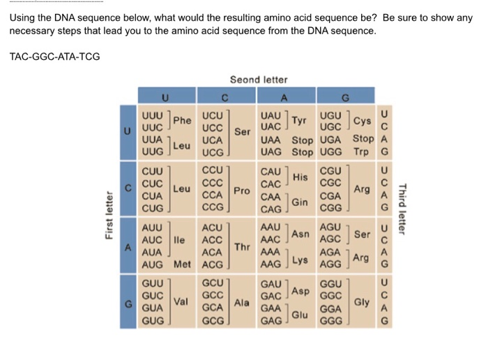 Solved Using the DNA sequence below, what would the