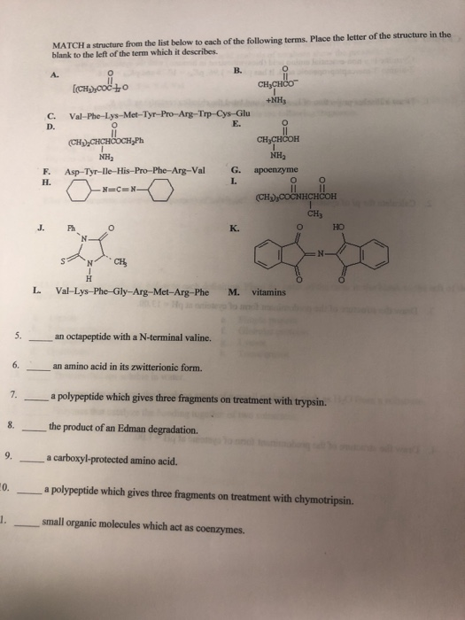 Solved MATCH a structure from the list below to each of the | Chegg.com