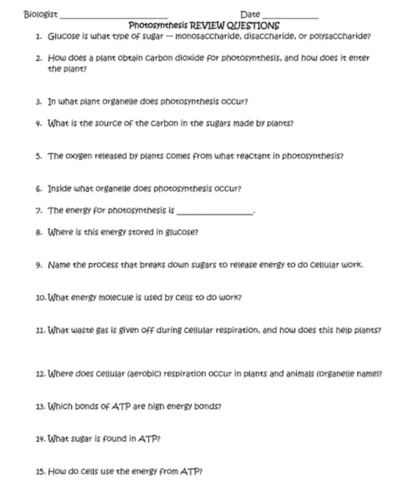 Solved Biologist Date Photosynthesis REVIEW QUESTIONS 1. | Chegg.com