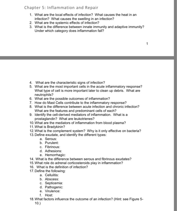 Chapter 5 Infection Control Principles And Practices Worksheet Answers