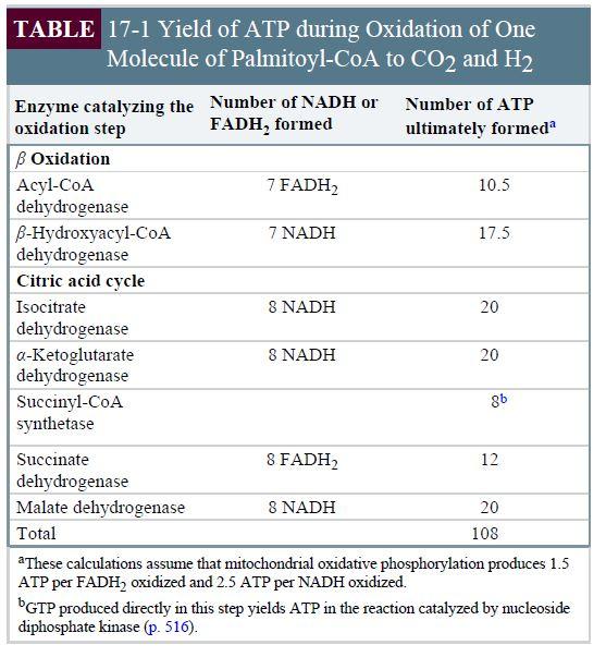 Solved Calculate the total ATP yield from the complete