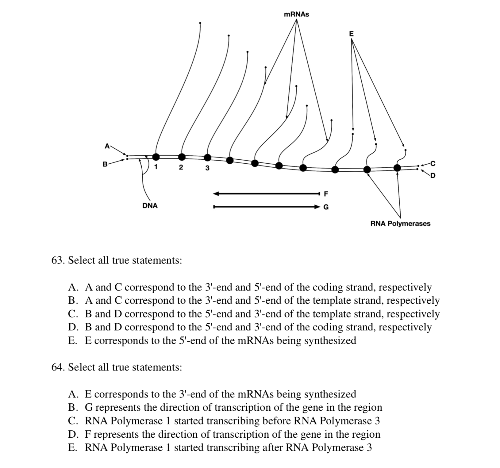 Solved 63. Select all true statements: A. A and C correspond | Chegg.com