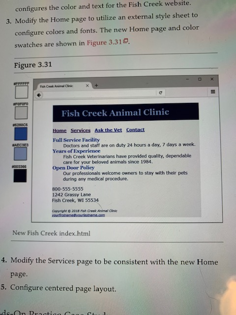 Fish Creek Animal Hospital Case Study Chapter 3 Animal West